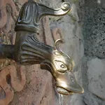 Seriola לימונה סול גרדה