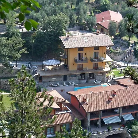 Seriola