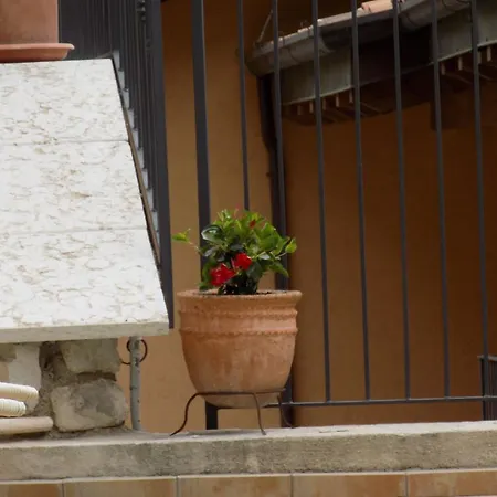 Seriola Limone sul Garda