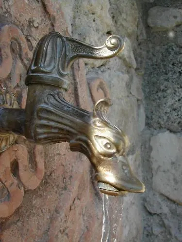 Seriola Limone sul Garda